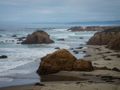 _DSC2219