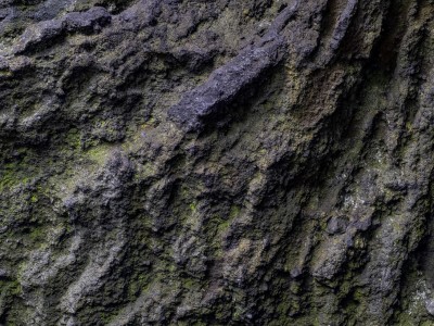 20220921-DSC00371-Edit-2