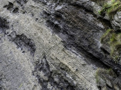 20220921-DSC00387-Edit-2