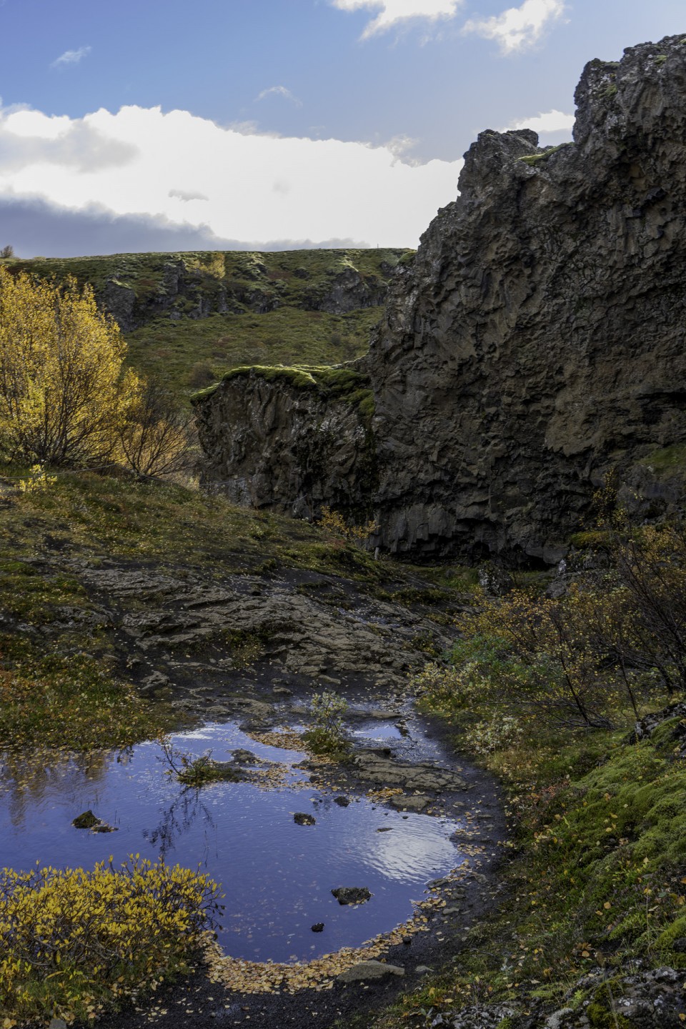 20220925-DSC01101-Edit