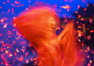 Red Dancer #1