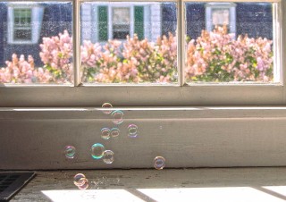 Can’t Burst My…