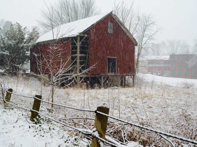 Snow More