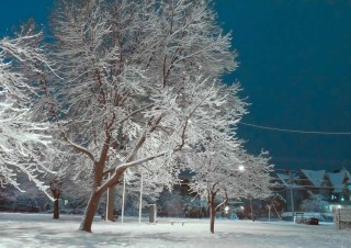 Ice Dream (II)