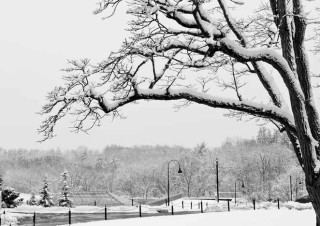 Winter Note