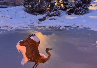 Ice Flock