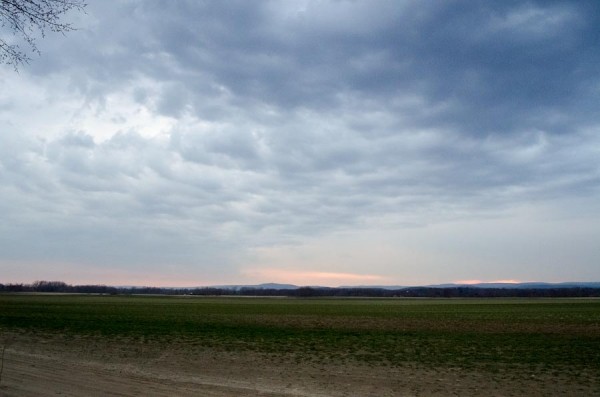 DM.2012.03.15-62