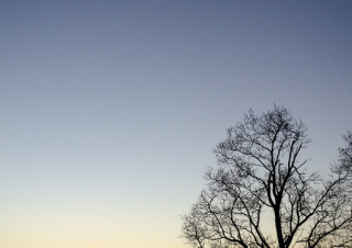 Metastasis/The Art of Winter