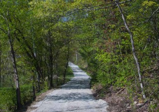 Green Path