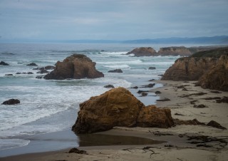 _DSC2219