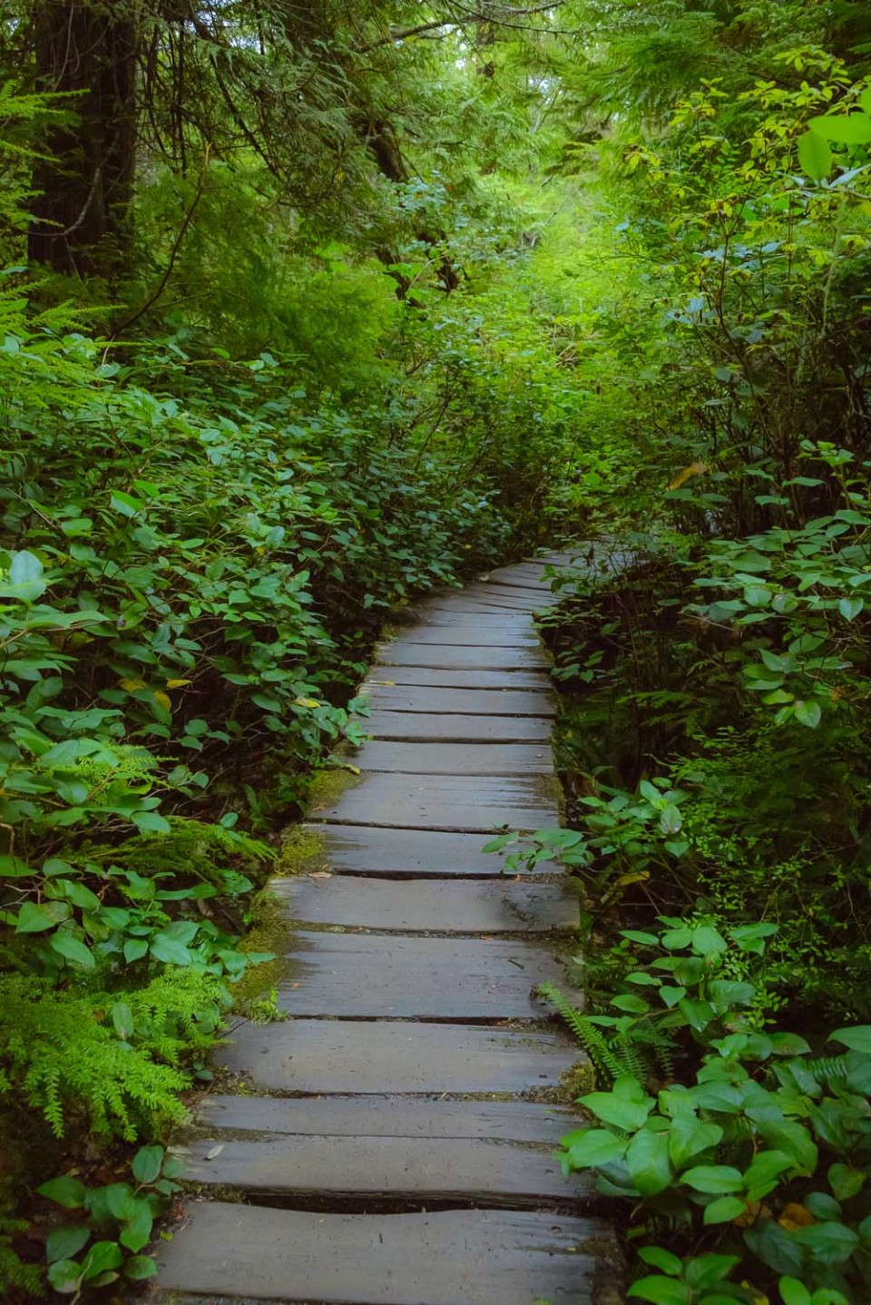 _DSC4518