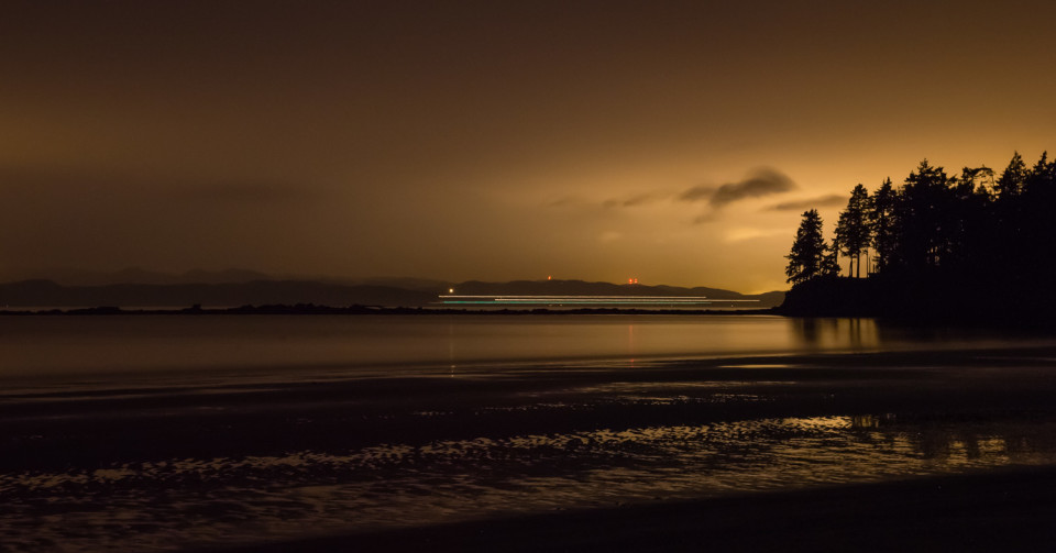 _DSC4716