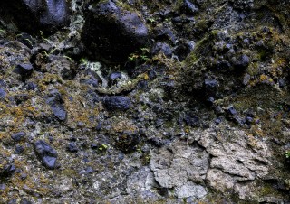 20220920-DSC00068-Edit