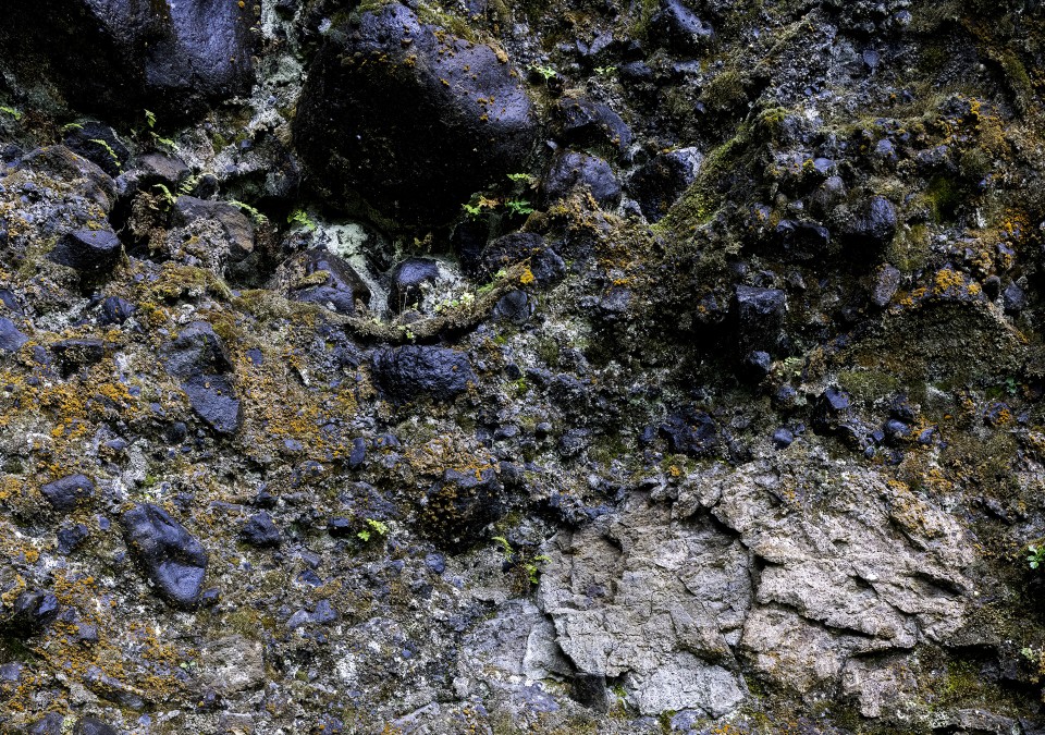 20220920-DSC00068-Edit