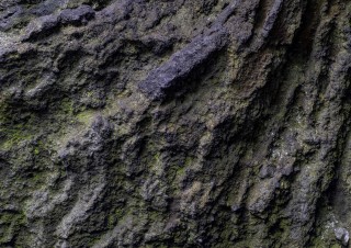 20220921-DSC00371-Edit-2