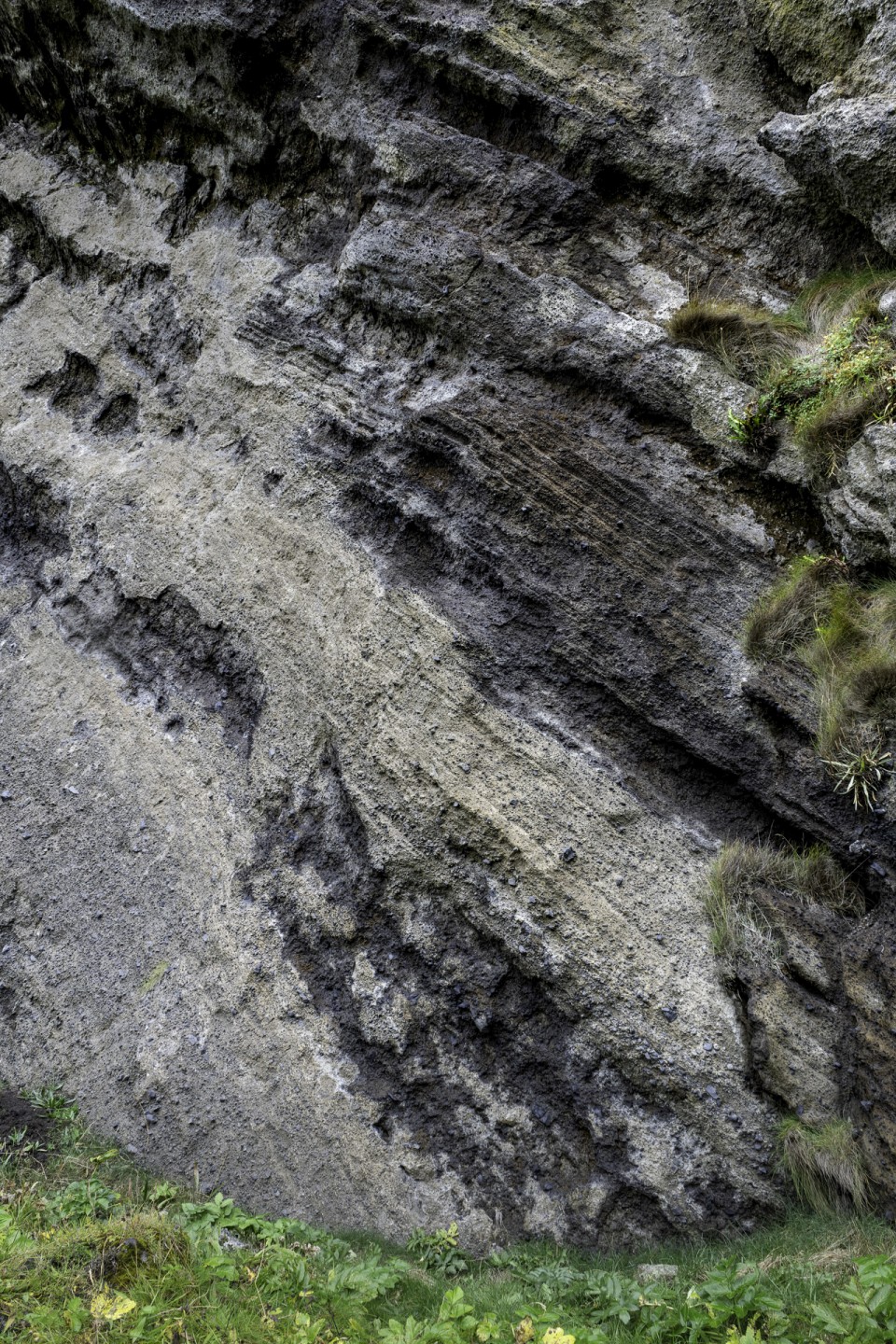 20220921-DSC00387-Edit-2