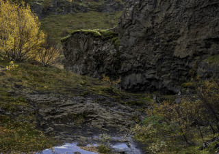 20220925-DSC01101-Edit